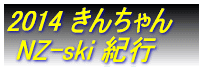  񂿂 NZ-ski Is